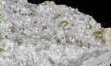 Glimmering Chalcopyrite & Calcite - Missouri #35117-3